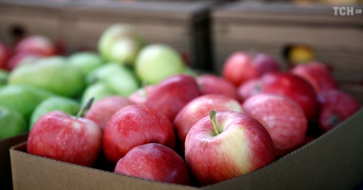 Рекордный урожай обвалил цены на яблоки