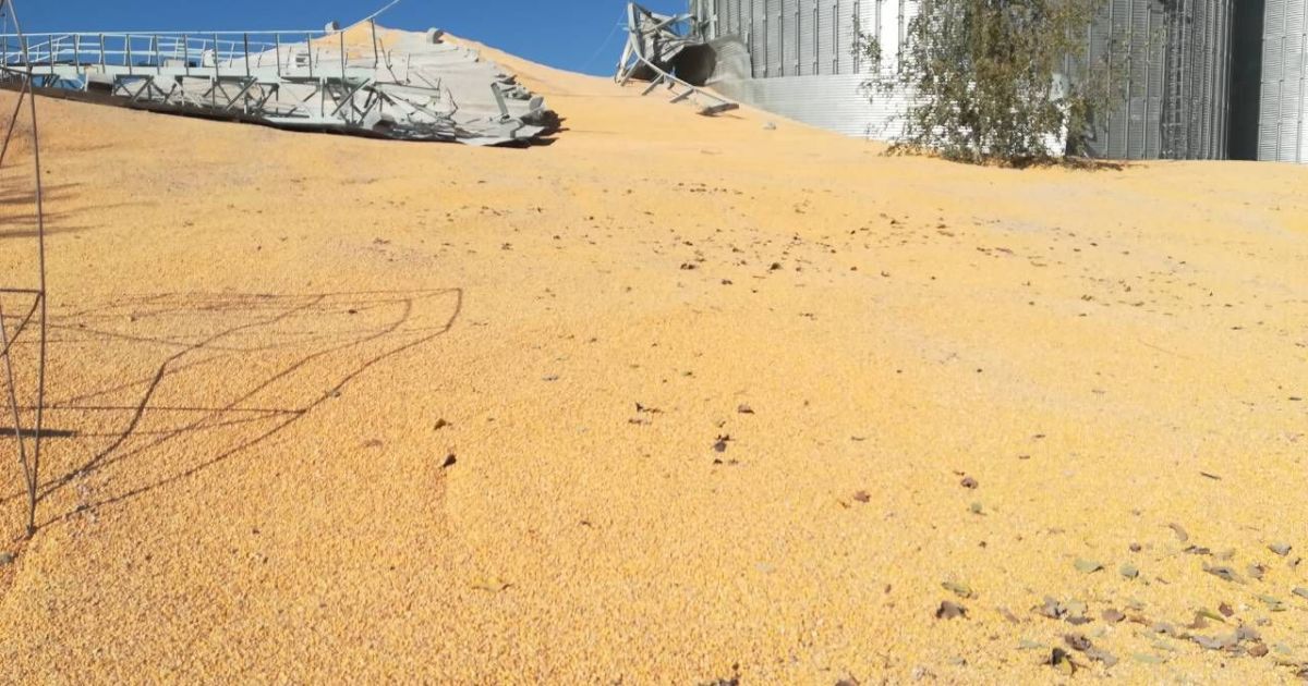 У Дніпропетровській області чоловік потонув у купі зерна