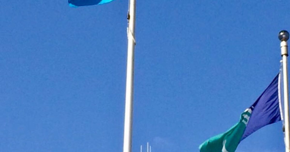 у столиці Канади підняли кримськотатарський прапор _3 / © Facebook/Андрей Шевченко