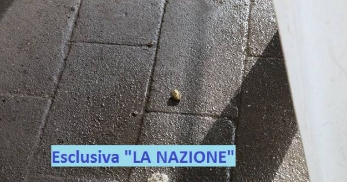 теракт_2 / © La Nazione