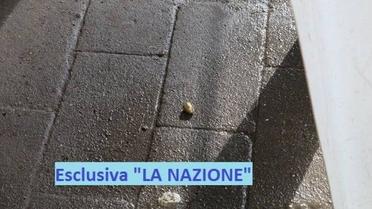 теракт_2 / © La Nazione