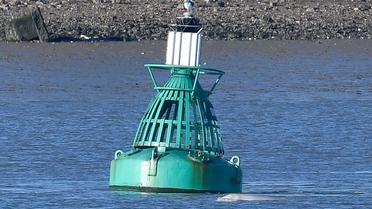 Кит у Темзі_2 / © Reuters