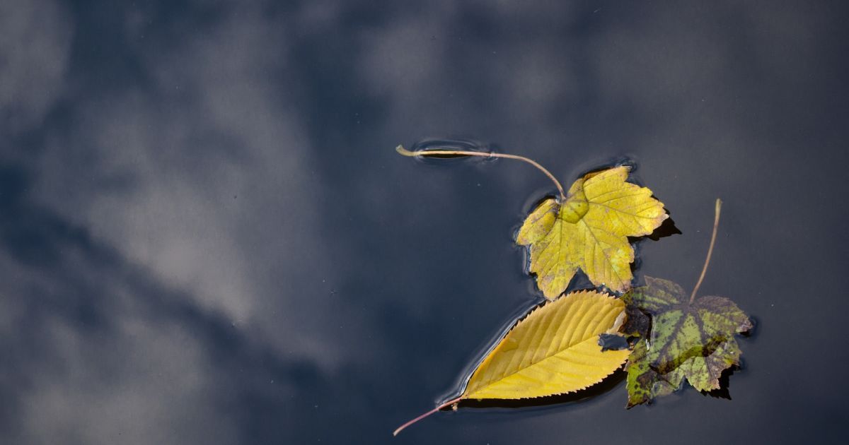 Який сьогодні 12 листопада день ангела