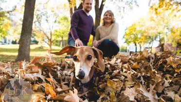 Собака казився перед камерою / © DNK photography