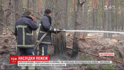 Последствия пожара: в Житомирской области спасателям до сих пор не удается потушить тление травы
