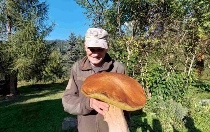 Не помещается в корзину: в Карпатах  нашли гриб-великан (фото)