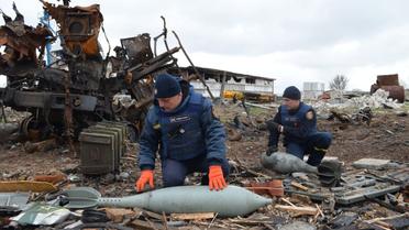 Розмінування у селі Шестовиця Чернігівської області / © Facebook/ ДСНС України