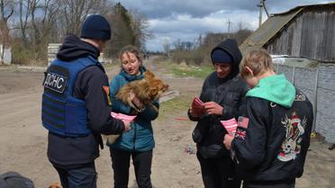 Розмінування у селі Шестовиця Чернігівської області / © Facebook/ ДСНС України