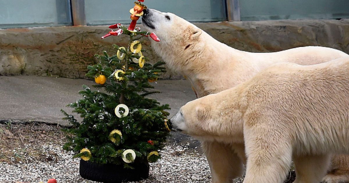 Ганноверский зоопарк
