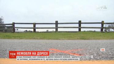 У США газетний кур'єр знайшов на дорозі покинуте немовля