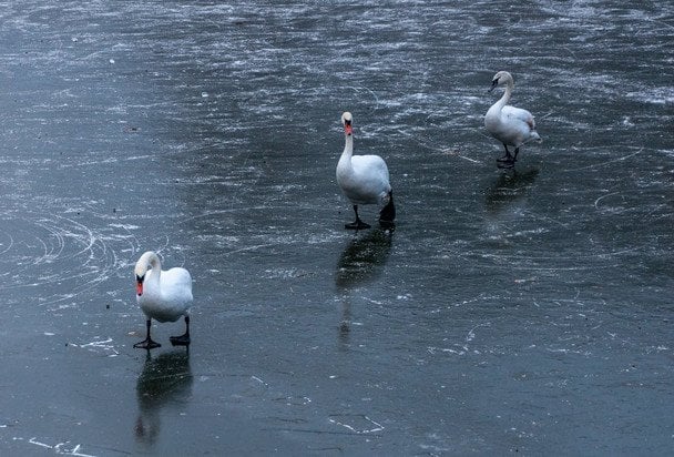 Народні прикмети 18 грудня / © pexels.com