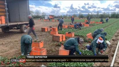 Двотижневий карантин для заробітчан у Польщі дозволили відбувати у полях