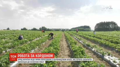 Уряд України веде переговори з іншими країнами, що хочуть залучити українців до сезонних робіт
