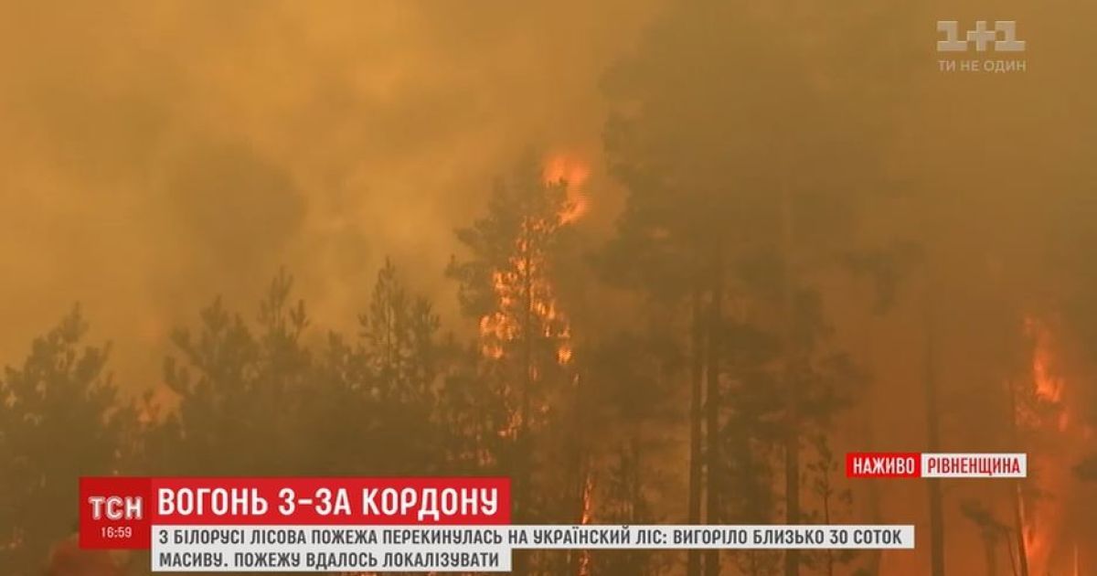 Опасность из Беларуси: спасатели не дали лесному пожару масштабно перекинуться через границу
