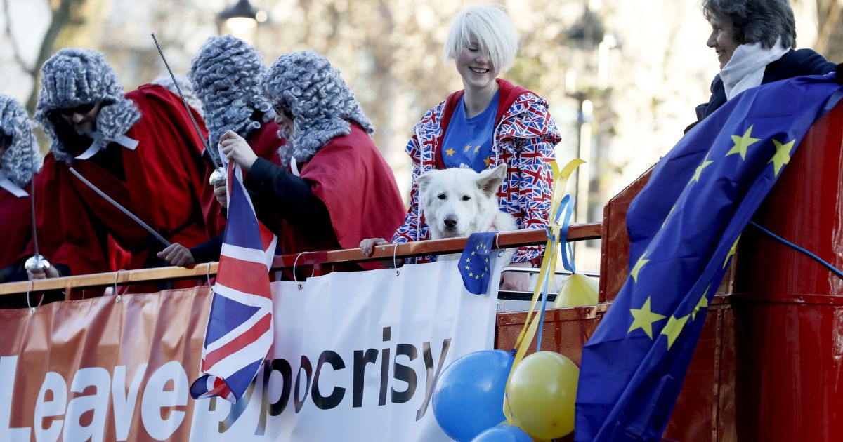 велика британія, собаки, акція_1 / © Associated Press