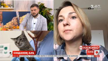 Юрист Екатерина Сорока о законе, который запрещает тестирование косметики на животных
