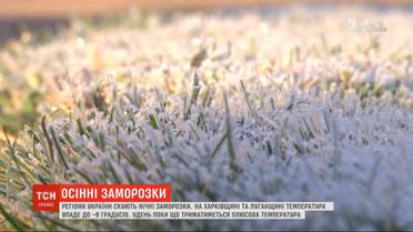 Ноябрь в своих правах: регионы Украины сковали ночные заморозки