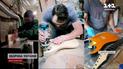 Щоб українські гітари мали шанувальників по світу! Переселенець перетворив хобі на власну справу