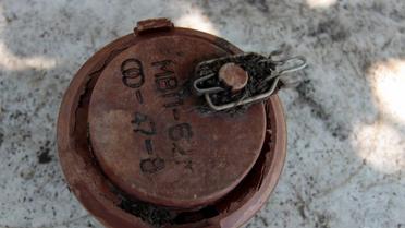 Широкине собираются сделать демилитаризованной зоной. / © УНИАН