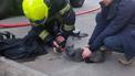 У Києві під час пожежі врятували кота, який лежав непритомним на дивані