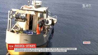 С одной из крупнейших рыбных ферм в Норвегии сбежали более 10 тысяч лососей