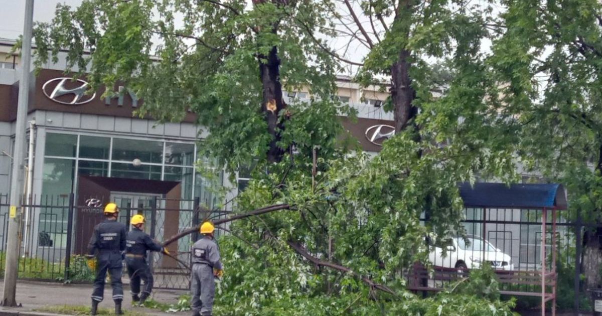 Наслідки залпової зливи у Києві / © КАРС Київська служба порятунку