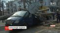 В Николаеве большой тополь раздавил микроавтобус прямо во время движения