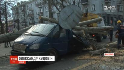 В Николаеве большой тополь раздавил микроавтобус прямо во время движения