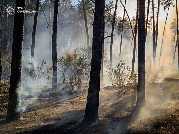 Пожежі на Харківщині Фото: ДСНС України