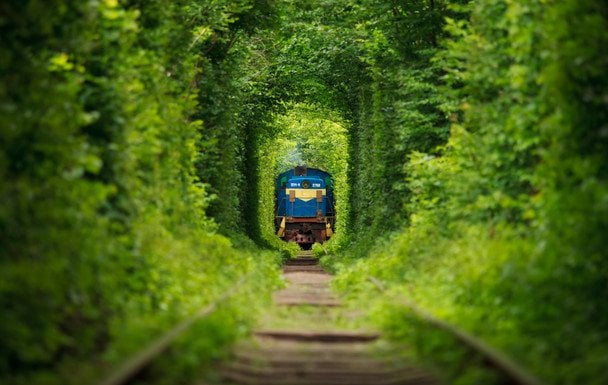 Тунель кохання (Рівненщина)