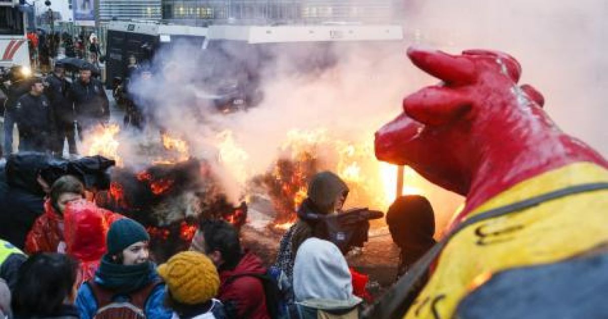 У Брюсселі тривають масові протести фермерів