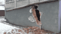 Скриншот з відео