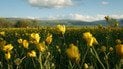 Погода в Украине резко изменится