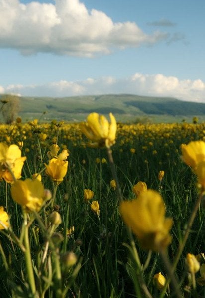 Погода в Украине резко изменится