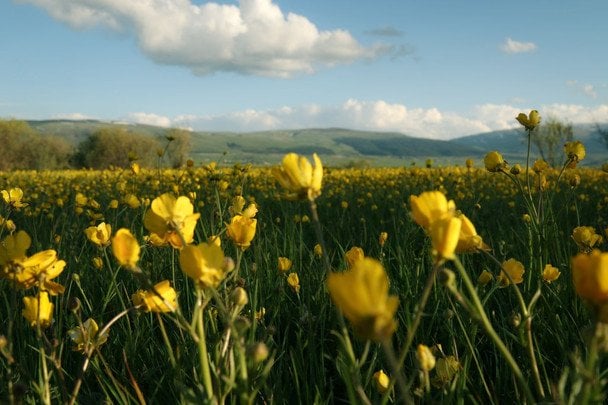 Народні прикмети 2 липня / © pexels.com