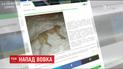 На Чернігівщині прикордонники врятували чоловіка від нападу вовка