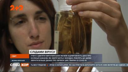 Як розпочалася пандемія та яке походження коронавірусу