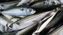 7 продуктів із високим вмістом магнію