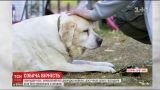 Світ зворушили знімки пса, який сумує за покійним господарем Джорджом Майклом