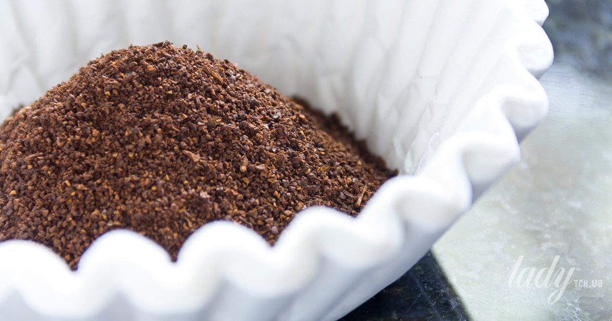 Кофейные фильтры в горшках для растений: как и зачем их использовать