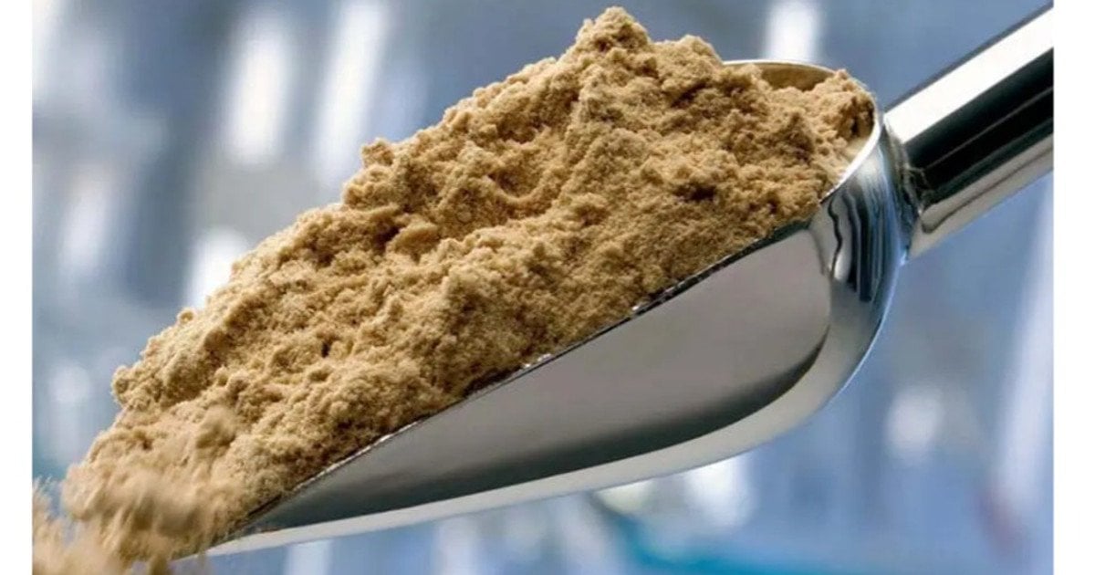 Рибне борошно