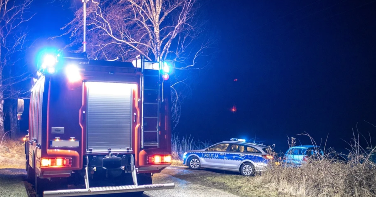 У Польщі військовий дрон впав на приватну територію