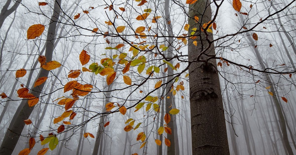 Погода зіпсується
