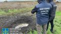 Хотели эвакуироваться: на Харьковщине нашли автомобиль с телами 5 человек, которые исчезли в мае