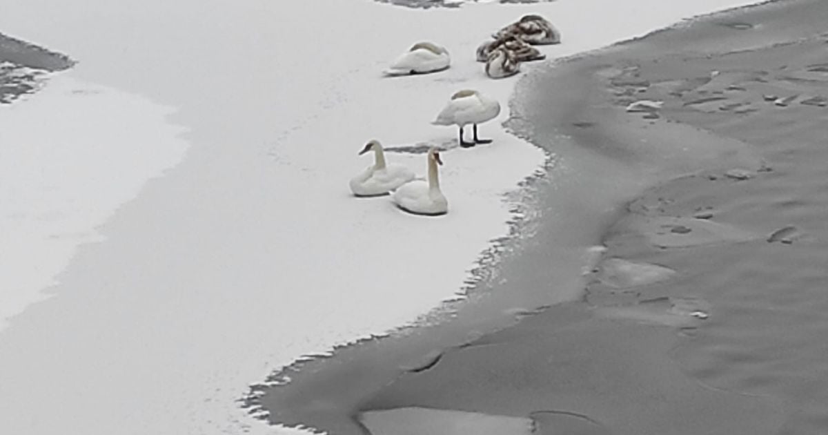 Фото: Оксана П., Facebook