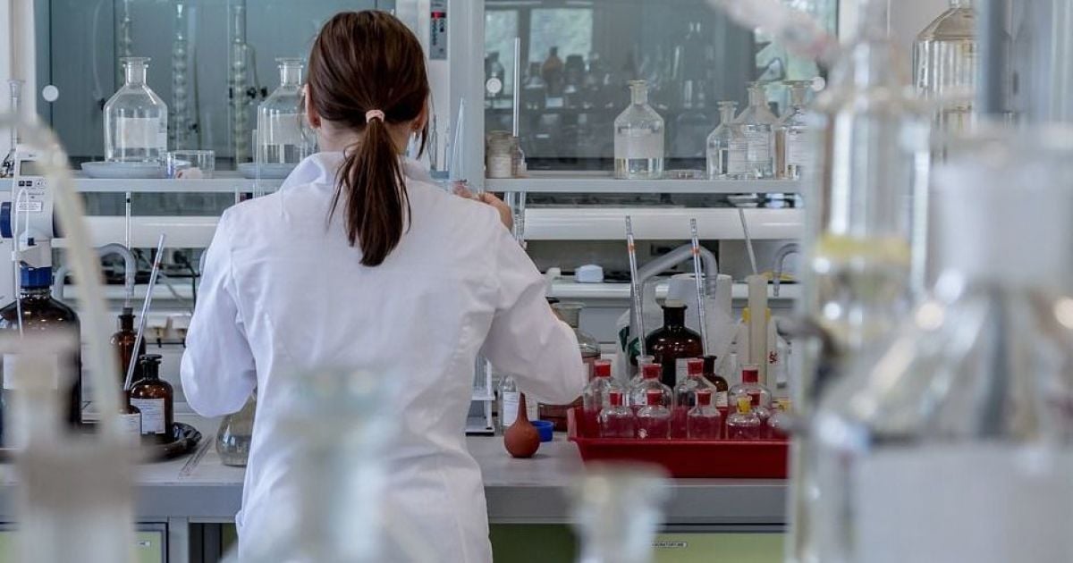 Обезьянья оспа: в ВОЗ оценили вероятность новой мировой пандемии