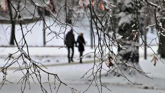 Свята в лютому 2023 року: чи будуть додаткові вихідні дні в Україні