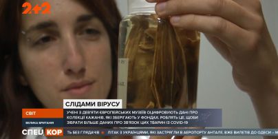 Как началась пандемия и каково происхождение коронавируса