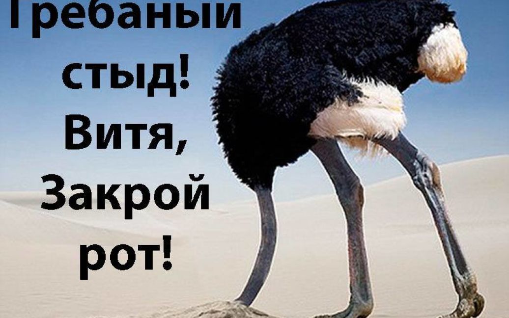 Юзеры Сети высмеивают Януковича / © facebook.com/sergonaumovich