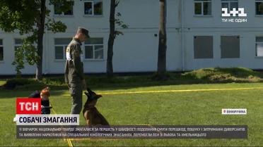 Новости Украины: в Винницкой области на специальные кинологические соревнования собрали собак Нацгвардии